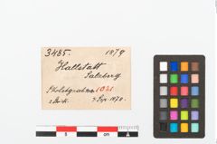 Etikett zu Bronzering (NHMW-PRAE-003485)